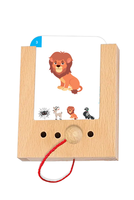 Tiere erkennen 2+