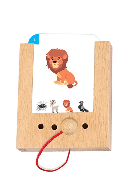 Tiere erkennen 2+