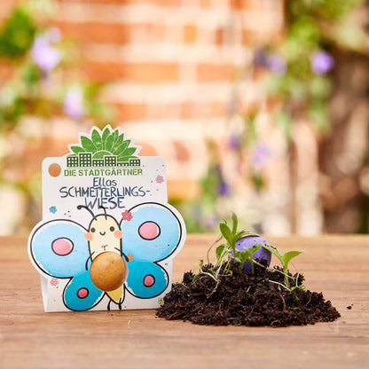 Blumenkugel Ellas Schmetterlingswiese