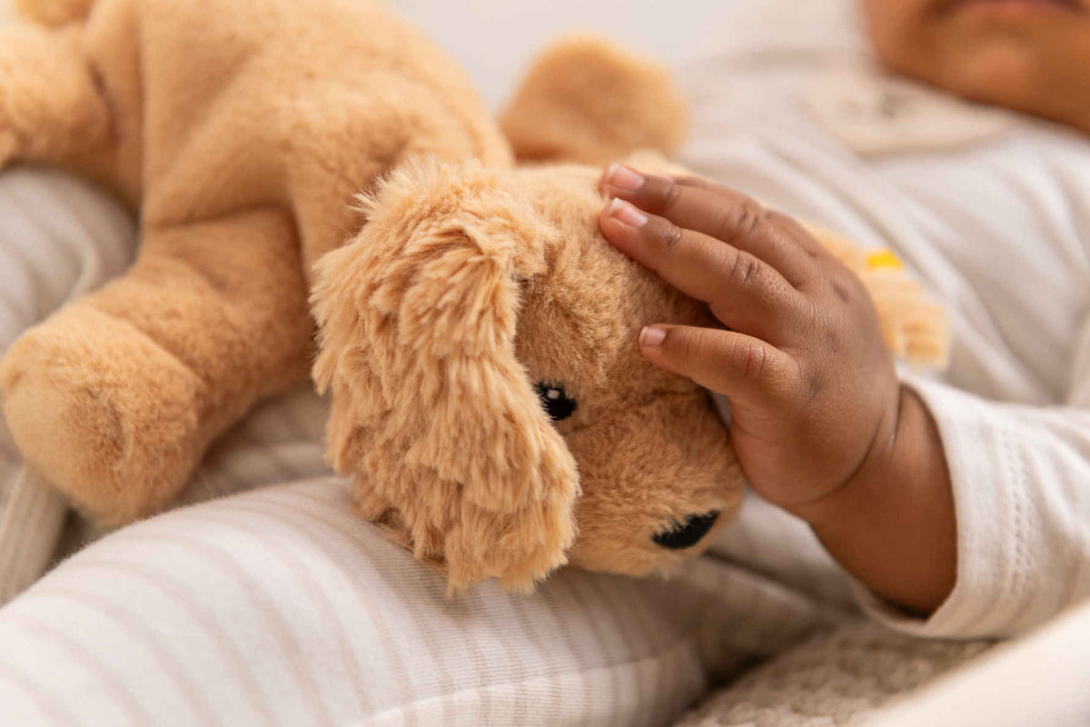 Soft Cuddly Floppy Hund liegend - von steiff