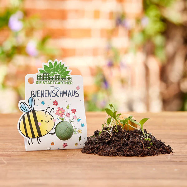 Blumenkugel Timos Bienenschmaus